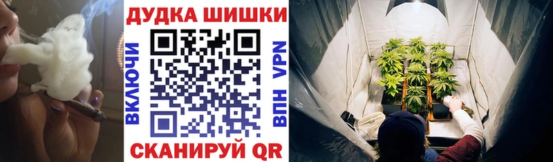 Бошки марихуана AK-47  мега tor  Иннополис 